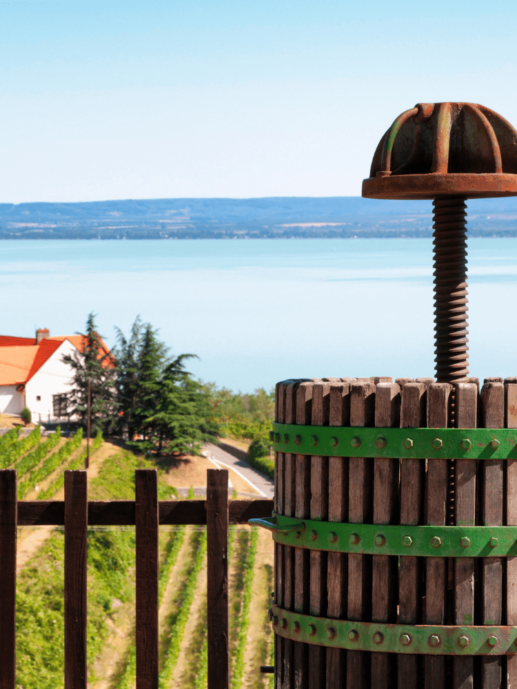 750x1000_web_ODU (1) 750x1000_web_ODU (1)